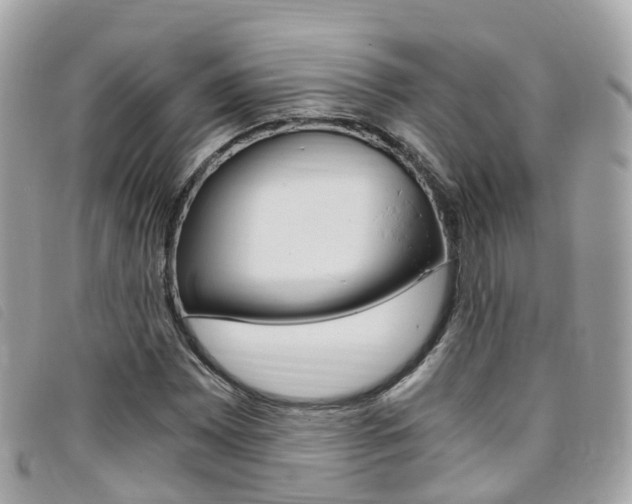 X0000095911065200801110822