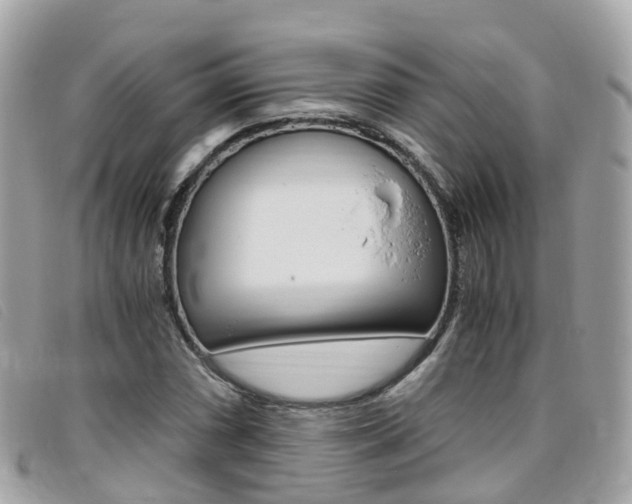 X0000095911066200801110822