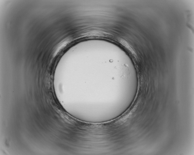 X0000095911067200801110822