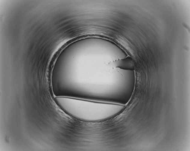 X0000095911068200801110822