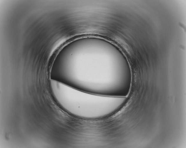 X0000095911069200801110822