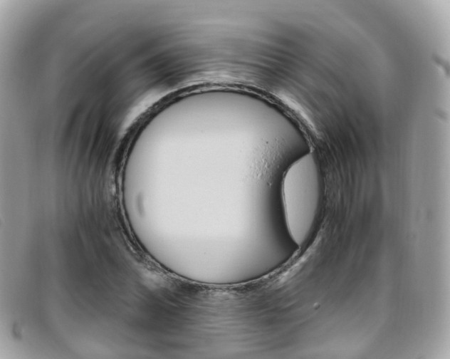 X0000095911070200801110822