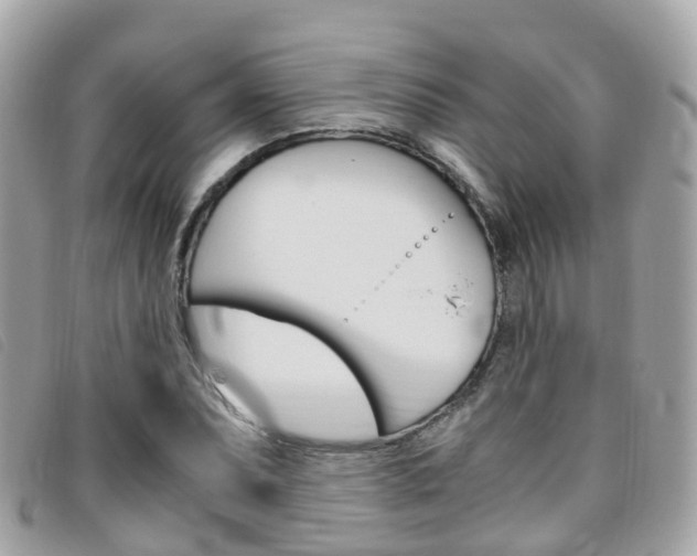 X0000095911071200801110822