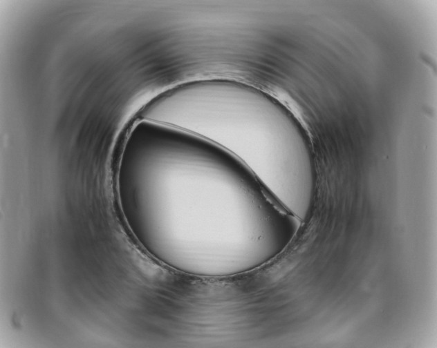 X0000095911072200801110822