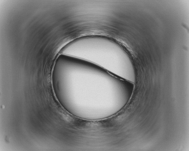 X0000095911073200801110822