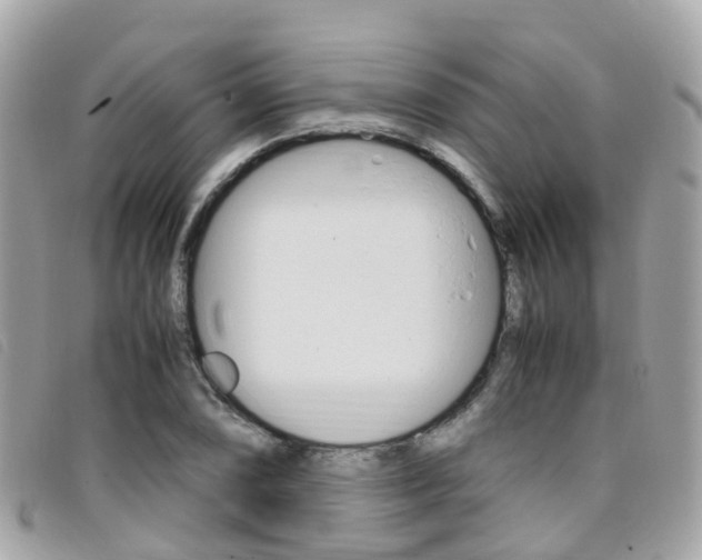 X0000095911074200801110822