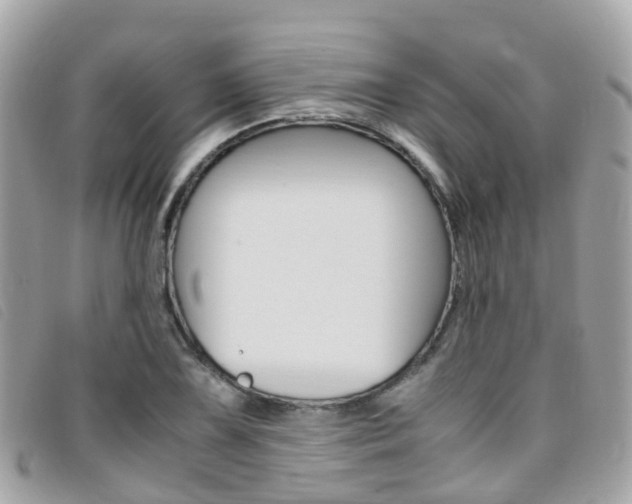 X0000095911075200801110822
