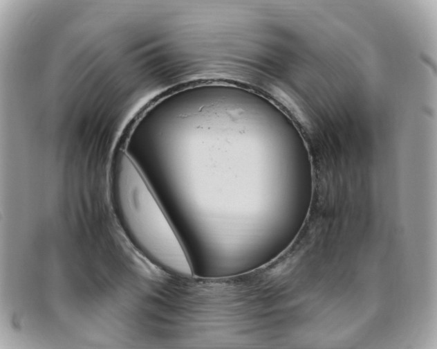 X0000095911076200801110822