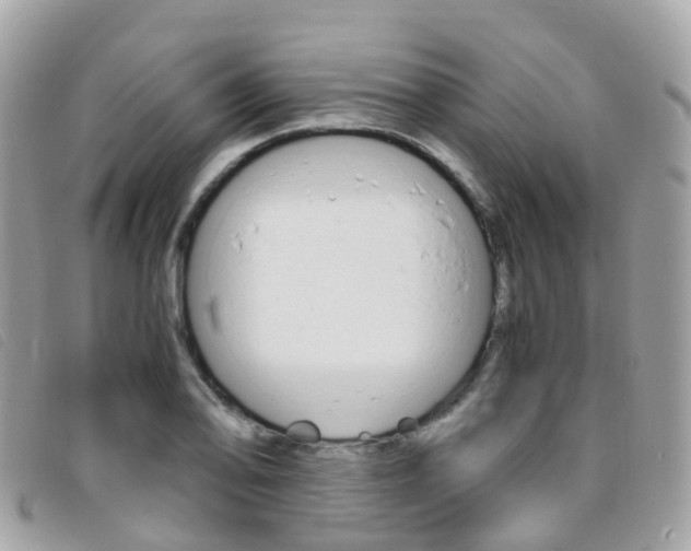 X0000095911078200801110822
