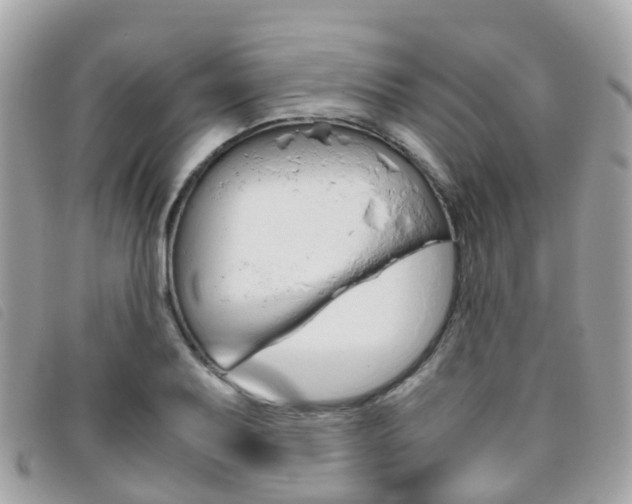X0000095911079200801110822
