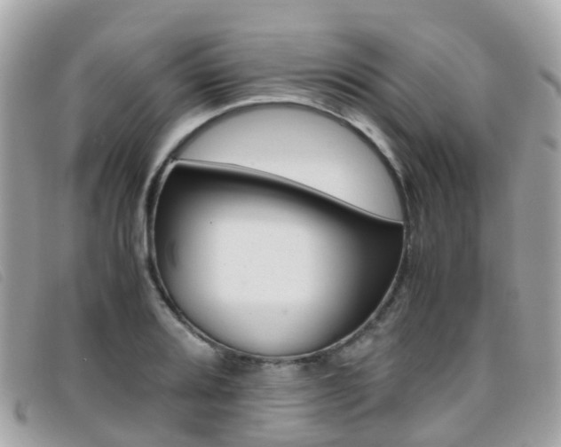 X0000095911080200801110822
