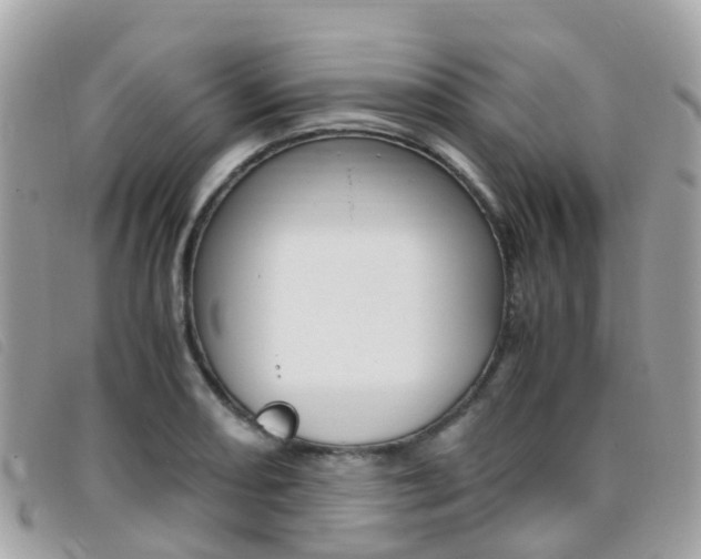 X0000095911082200801110822