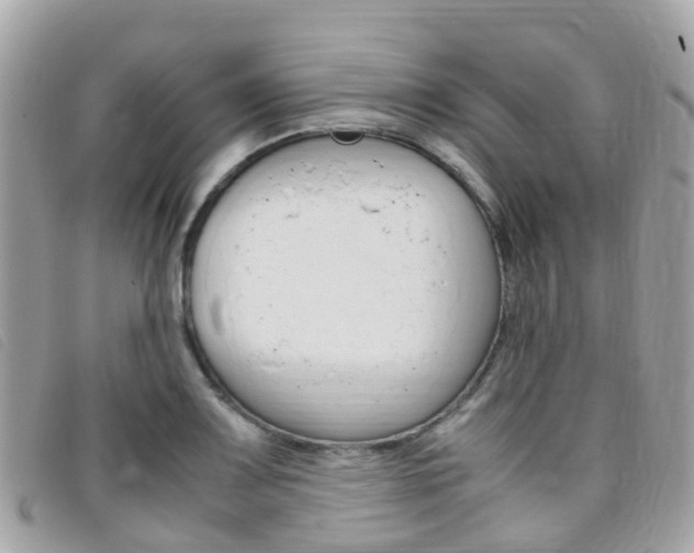 X0000095911083200801110822