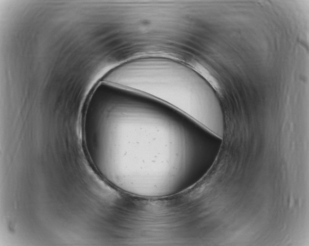 X0000095911084200801110822