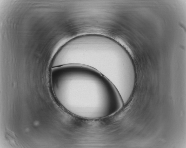 X0000095911085200801110822