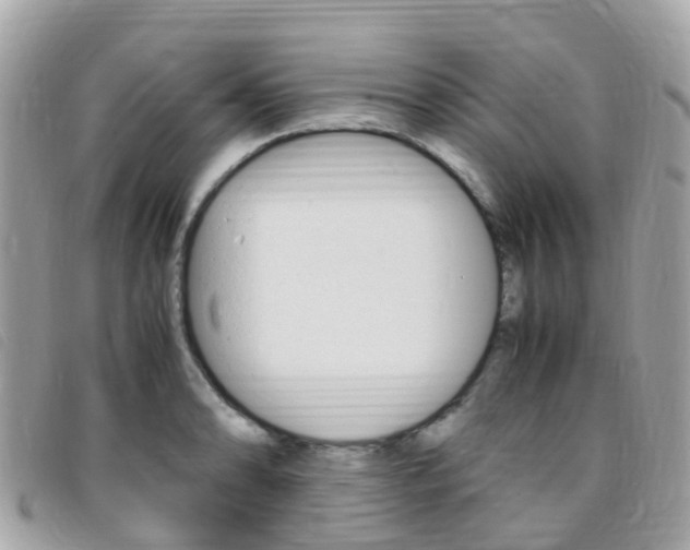 X0000095911086200801110822