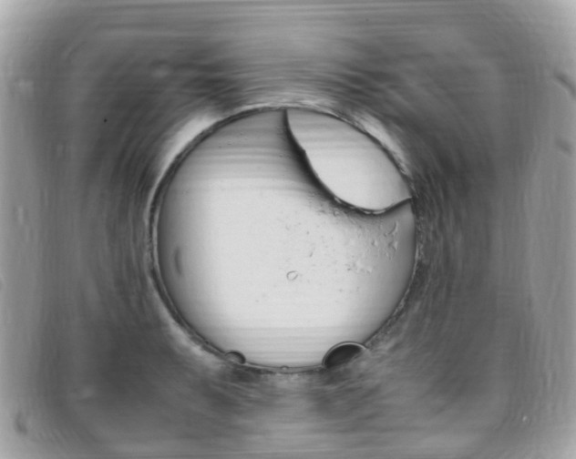 X0000095911087200801110822