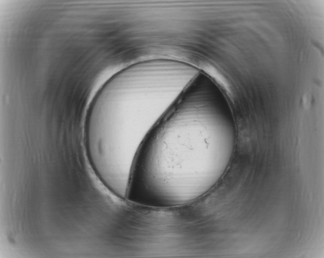 X0000095911088200801110822