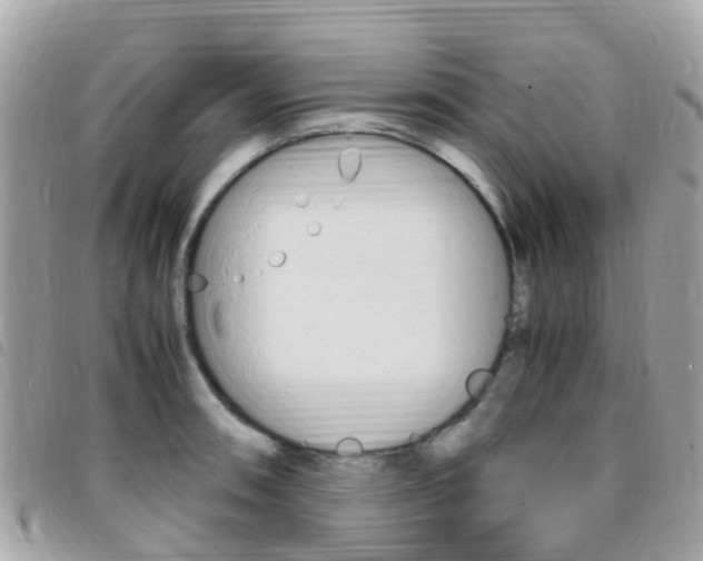 X0000095911090200801110822