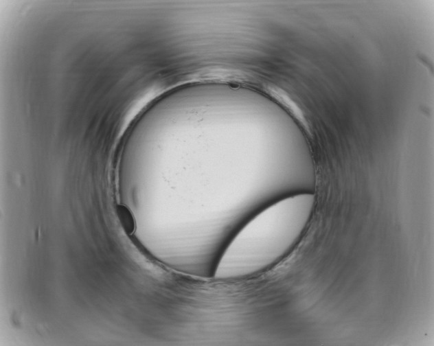 X0000095911091200801110822