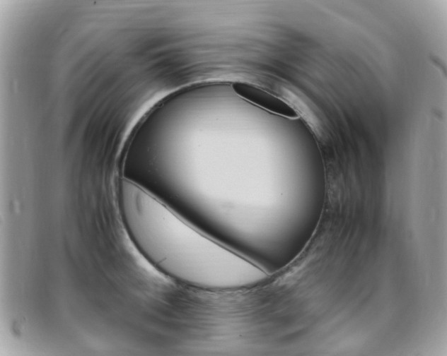 X0000095911092200801110822