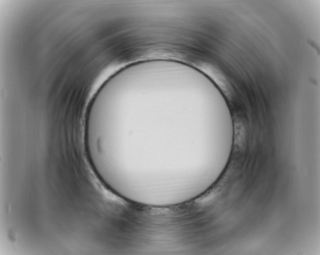 X0000095911094200801110822