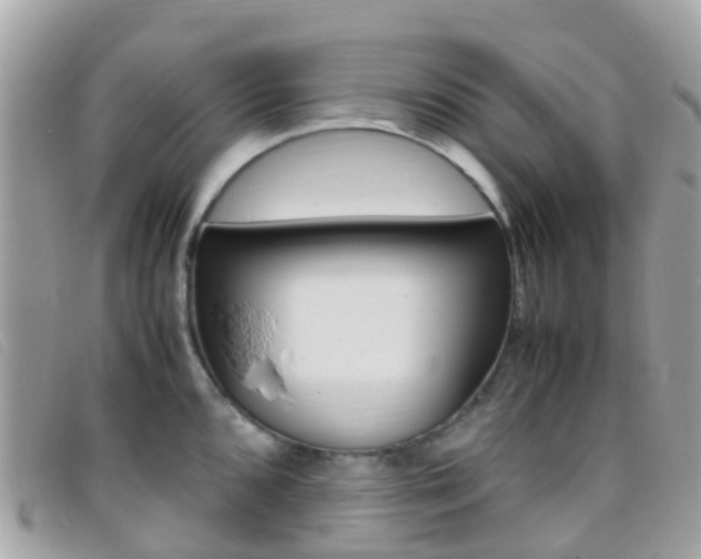 X0000095911096200801110822
