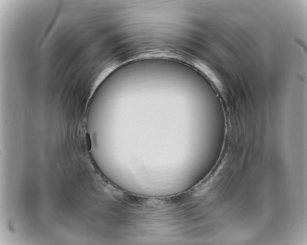 X0000095911097200801110822