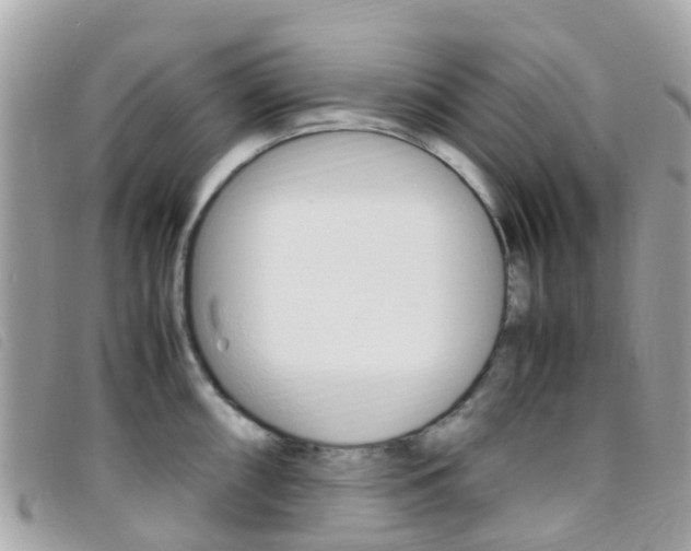 X0000095911098200801110822