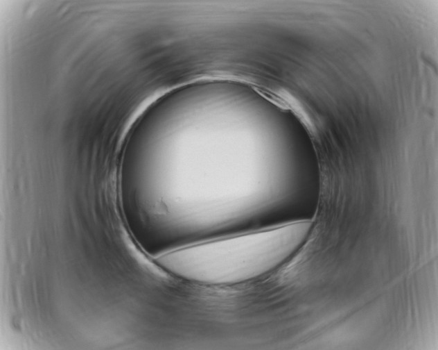 X0000095911100200801110822