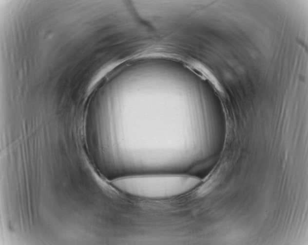 X0000095911101200801110822