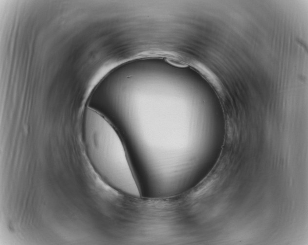 X0000095911102200801110822