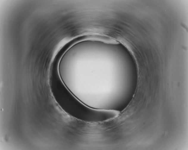 X0000095911104200801110822