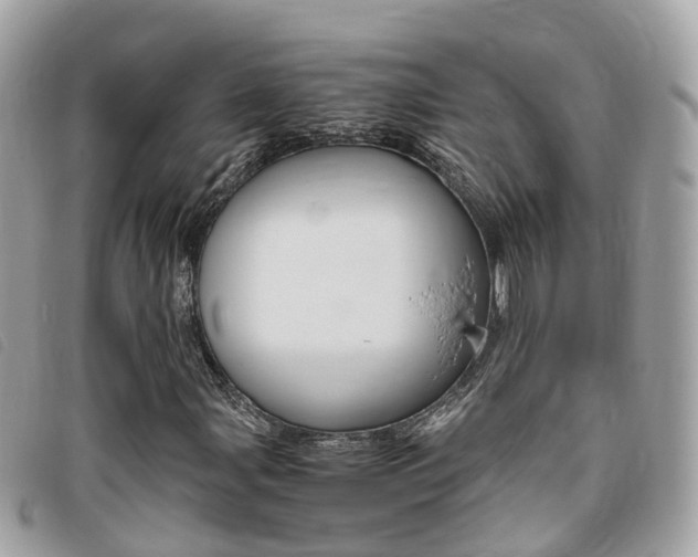 X0000095911107200801110821