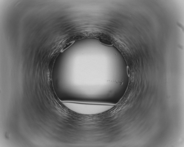 X0000095911108200801110821