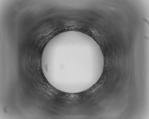 X0000095911109200801110821