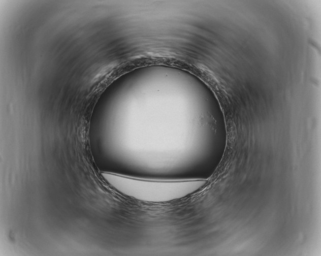 X0000095911110200801110821
