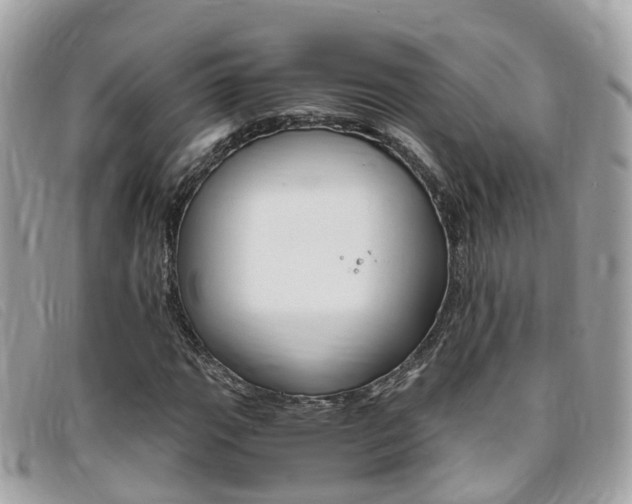 X0000095911111200801110821