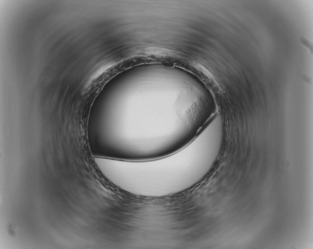 X0000095911112200801110821