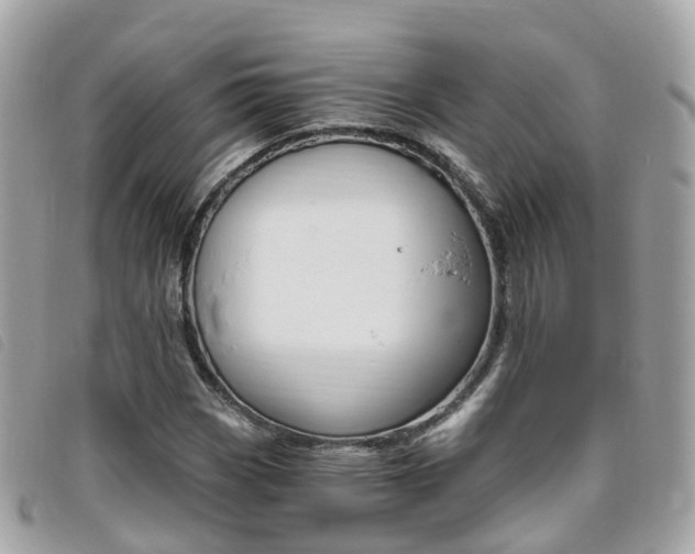 X0000095911113200801110821