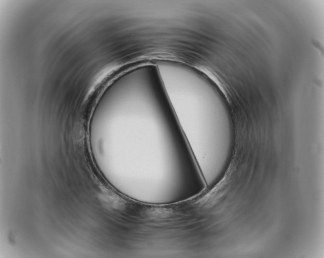 X0000095911115200801110821