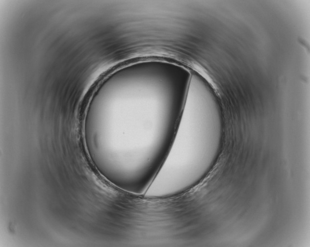 X0000095911116200801110821