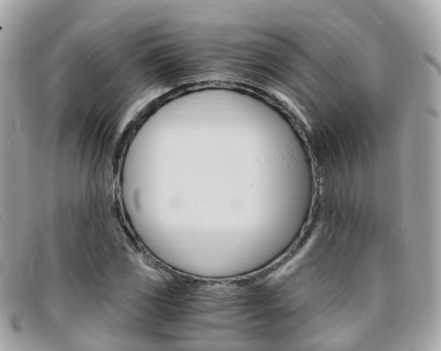 X0000095911117200801110821