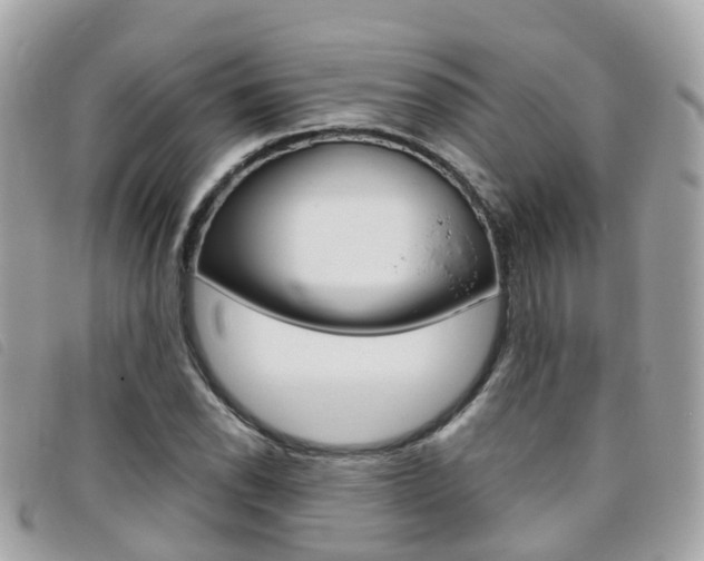 X0000095911118200801110821