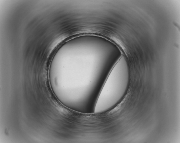X0000095911119200801110821