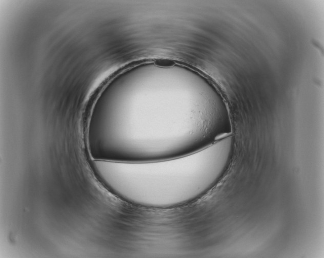 X0000095911120200801110821