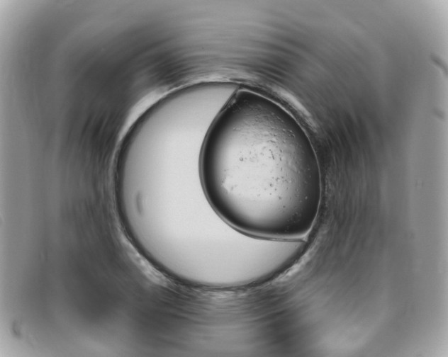 X0000095911122200801110821