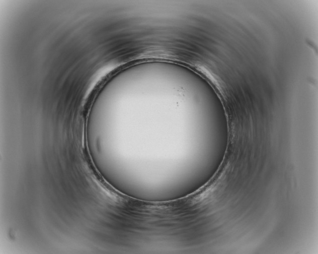 X0000095911123200801110821