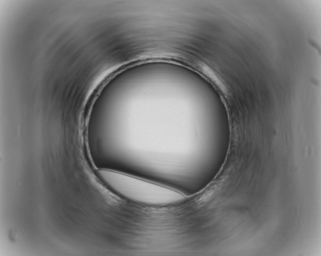 X0000095911124200801110821