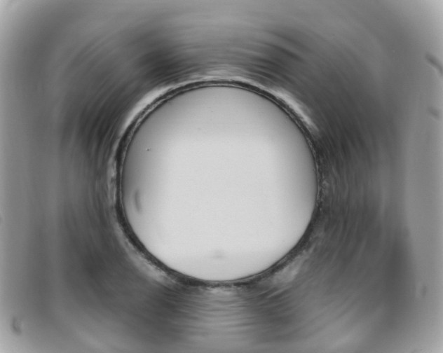 X0000095911126200801110821